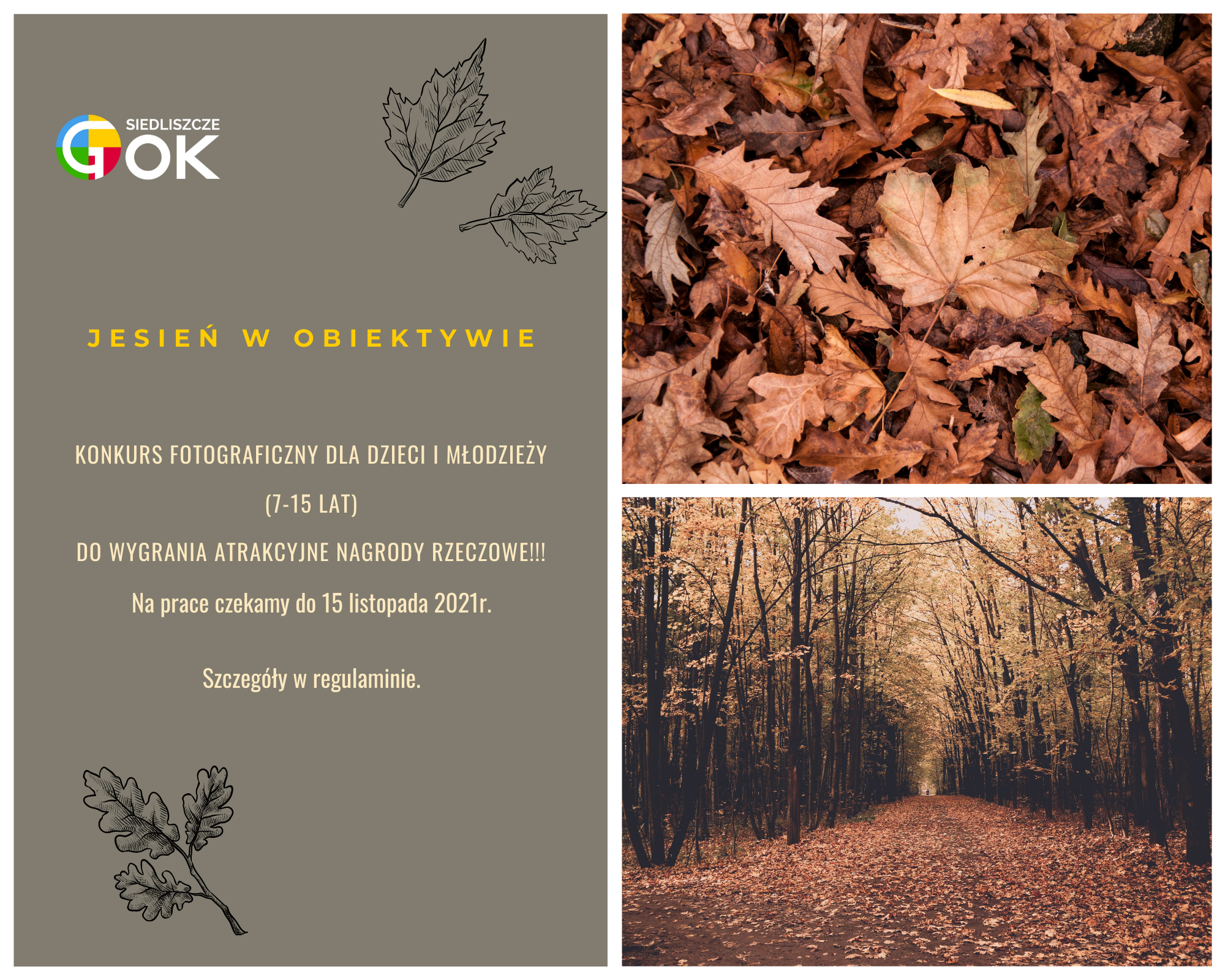 Obrazek przestawia jesienny park oraz liście w kolorach brązowyck