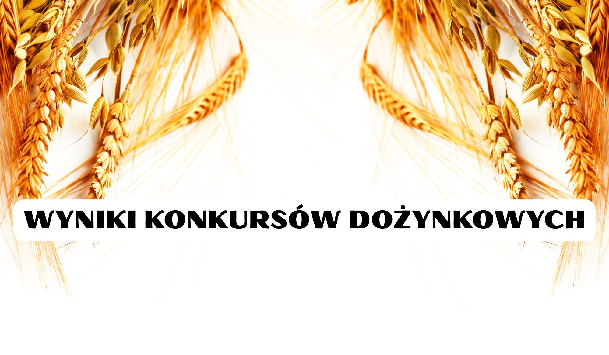 Wyniki konkursów dożynkowych